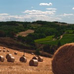 Tuscan Hay Bale Landscape