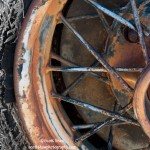Shredded Wheel