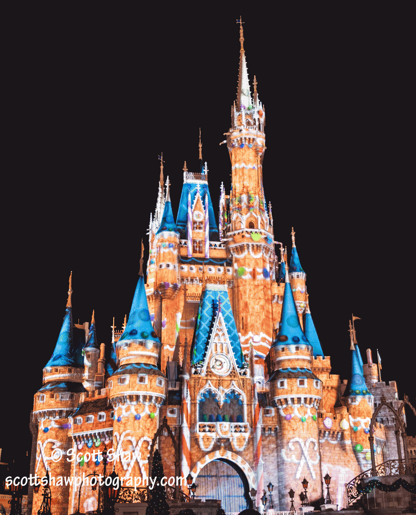 Cinderella Castle GIF
