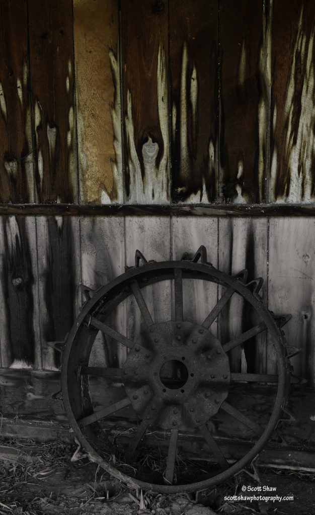 Wood Grain Ghost, Grant-Kohrs Ranch National Historic Site