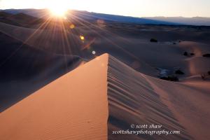 Sand Dune Flare