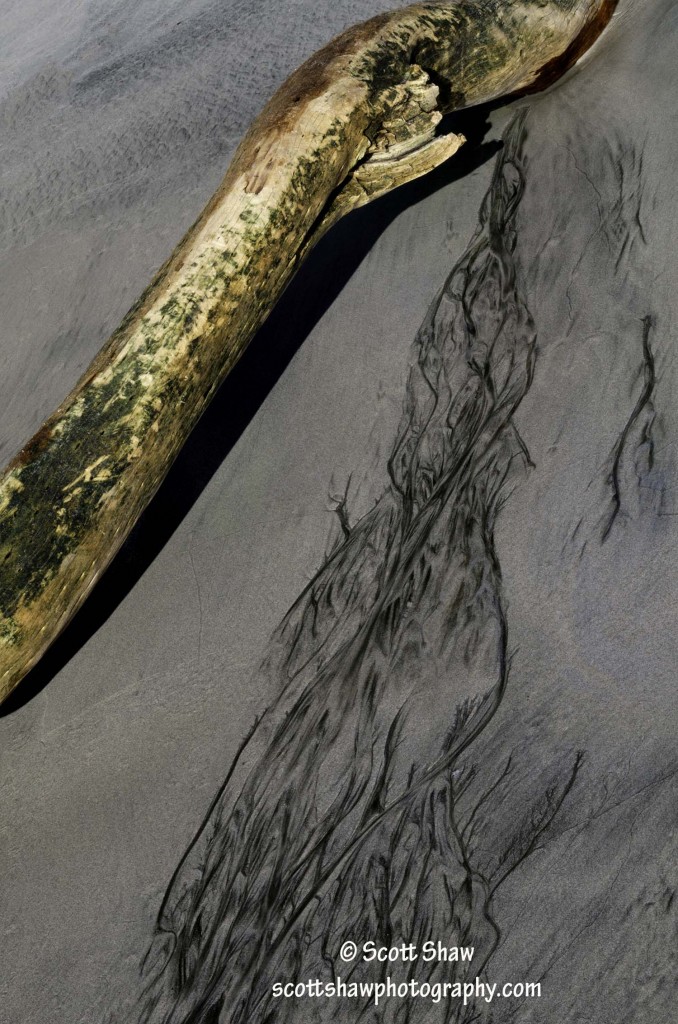 Costa Rica Driftwood and Sand Pattern