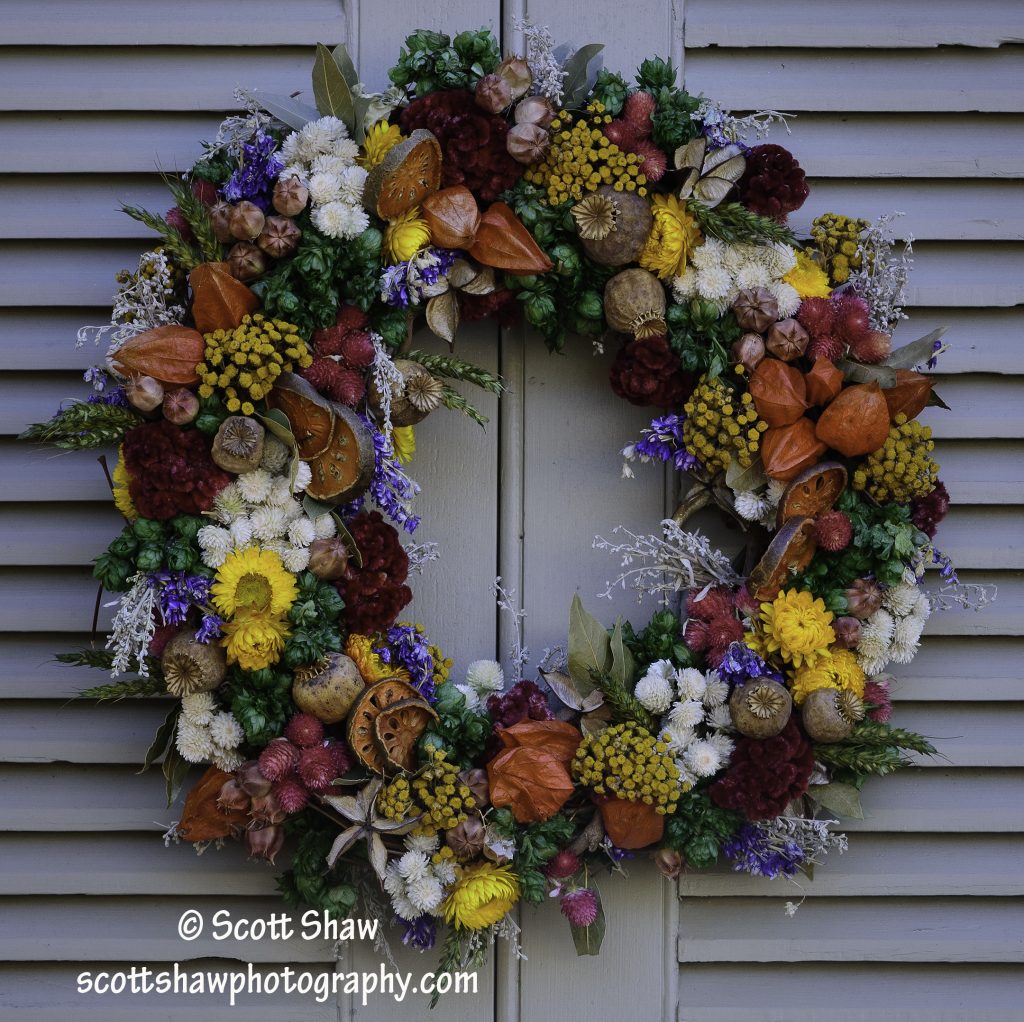 Williamsburg Christmas Wreath #1