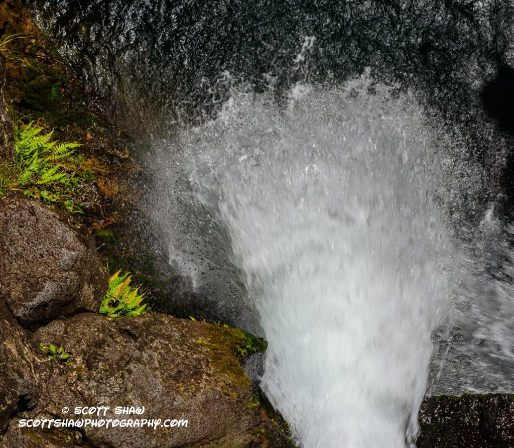 Topside of water