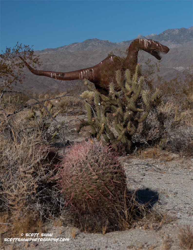 Dino-Cacti