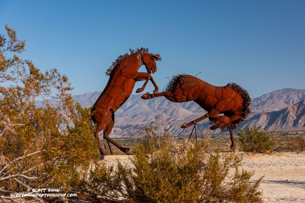Kicking-Horses