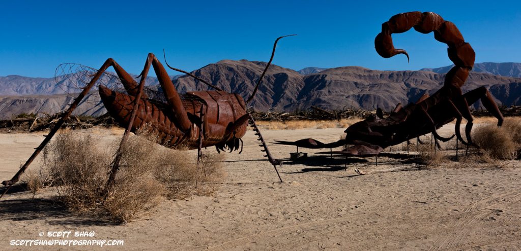 Scorpion