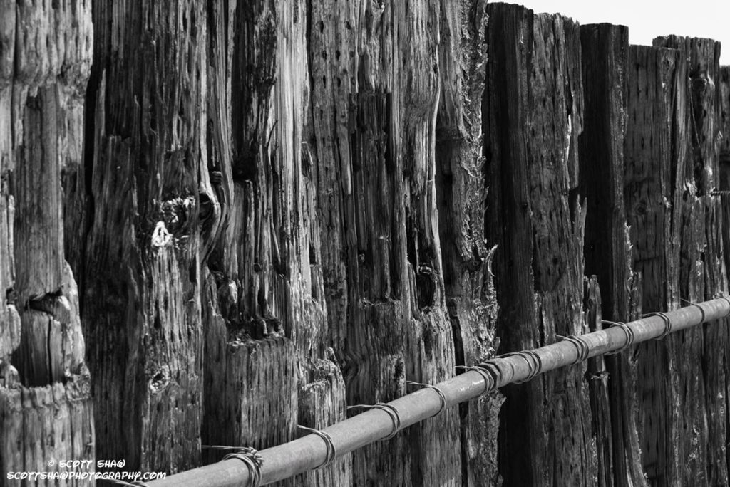 Fence-Post-1
