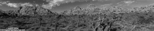 29-Palms-Pano