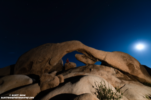Moonshot-Arch2