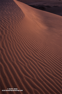 Glamis-Dunes-1