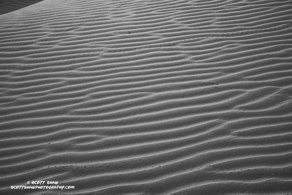 Glamis-Dunes-3