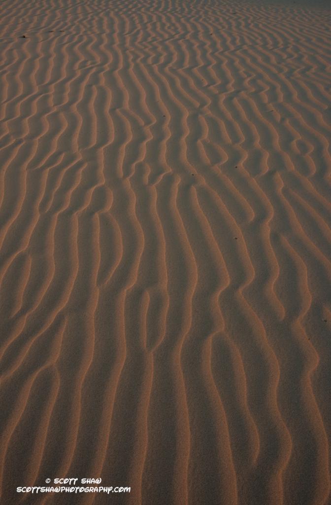 Glamis-Dunes-5