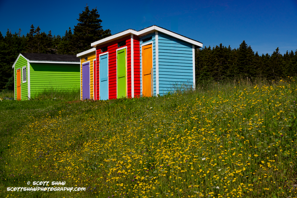 Cows-Head-Trail-Sheds