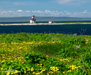 Flowers-Cove-Lighthouse