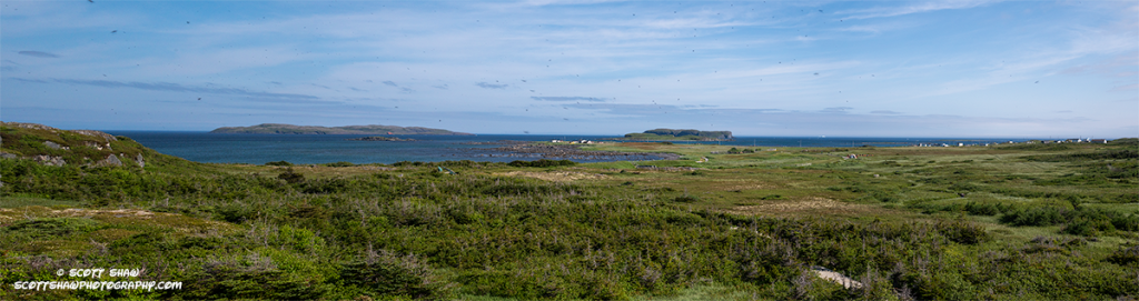 Lanse-Aux-Meadows-Pano