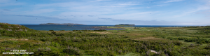 Lanse-Aux-Meadows-Pano
