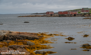 Red-Shacks