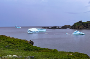 Triple-Bergs