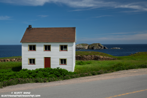 Puffin-Site-House