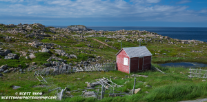 Red-House-2