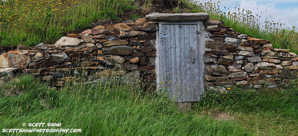 Root-Cellar