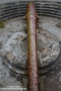 Gun