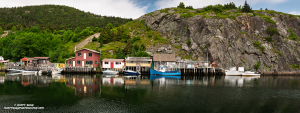 Quidi-Vidi