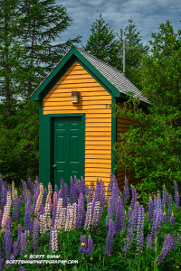 Trinity-Flower-House